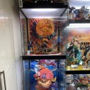 H2150 | [두트] 엄청난 스케일의 원피스 레진 피규어 장식장 (에스프레임,엔에스프레임)