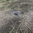 한서생물 | 종강 후 일주일