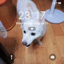 (주)도이프 이미지