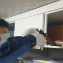 크린방역