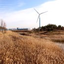 경인아라뱃길아라인천여객터미널 이미지