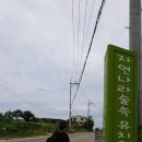 자연나라숲속유치원 이미지