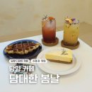 한재초등학교 | 담양 디저트 카페 담대한 봄날 ｜수제청과 크로플 맛집에 다녀온 후기