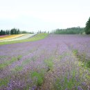 국철농장 이미지