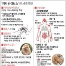 그래픽바이러스 이미지