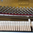 엘가음악교습소 이미지