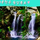 찜통 더위를 잊게 해주는 원앙폭포 이미지