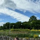 독앤트리 이미지