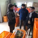 김천수농장 네이버블로그