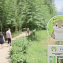 섬진강대숲길 이미지