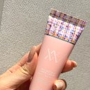 브이앤바이오
