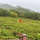 허브밸리(전망대) 이미지