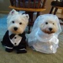 관악구청 이미지