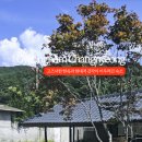 스테이더담 창녕성산점 이미지