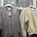 롯데아울렛피그먼트 이미지