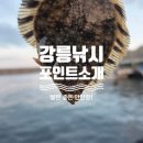 안인진길 | 강릉 안인항 낚시 후기 (구멍치기 도다리 성공 + 초보 꿀팁)