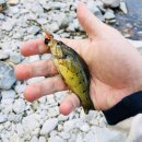 물조은펜션 이미지