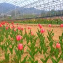 용해농장 이미지