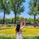 보은닭집 이미지