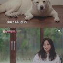 이상순농장 이미지