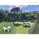 거제도그펜션