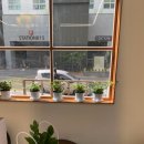 어나더 스위티 이미지