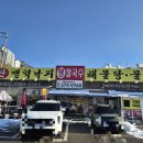 산벌떡낙지