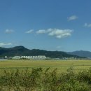 봄내멸치쌈밥 이미지