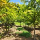 근삼농장 이미지