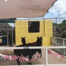 제이원 인터내셔널 이미지