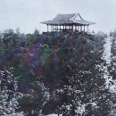 독립만세비 네이버블로그