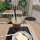 다산어린이공원 | [공지] 신당동 느좋 신상 애견동반카페 리빙커피하우스