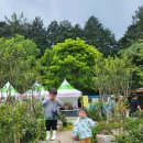 새금복식당 이미지