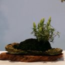 신안센터-17 이미지