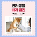 신장동물병원 | 부산 건강검진 동물병원 췌장염/간질환/신장질환 검진 후기