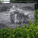 사람사는 이야기 이미지