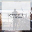 연세봄이오는치과의원 이미지