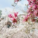 걷고 싶은 중구둘레길(제3코스) 이미지