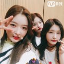 건강한다이아
