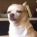 남당항해수목욕탕 이미지