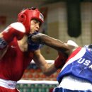 챔프복싱클럽 이미지