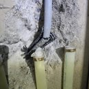 두정비바빌 이미지