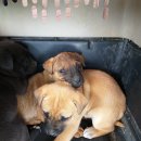 예주시장길 이미지