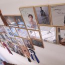 (주)한타특수운송 신항지점 | 부산말티푸분양 당일 운송으로