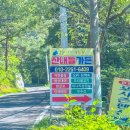 산내들가든 | 양산 원동 계곡 산내들가든 평상 대여 25년 수심 아이와 울산 근교