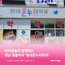 현대온누리약국 이미지