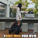 베베도그 | 무료 펫 선물 포로리 강아지 유모차 왓도그캣 무료로 받아요