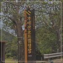 캠핑홀리데이 성주오토캠핑장 | 7살·4살 자매와 함께한 성주 가야산오토캠핑장 첫째날 후기