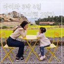 대정농협 옆 | 카페/보니따스튜디오/라움아로마/다정이네김밥/소색채본/대정농협하나로마트 회포장/산방산 탄산온천)
