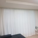 스텔라홈 이미지